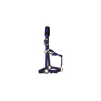 KM Elite Padded Headcollar Navy