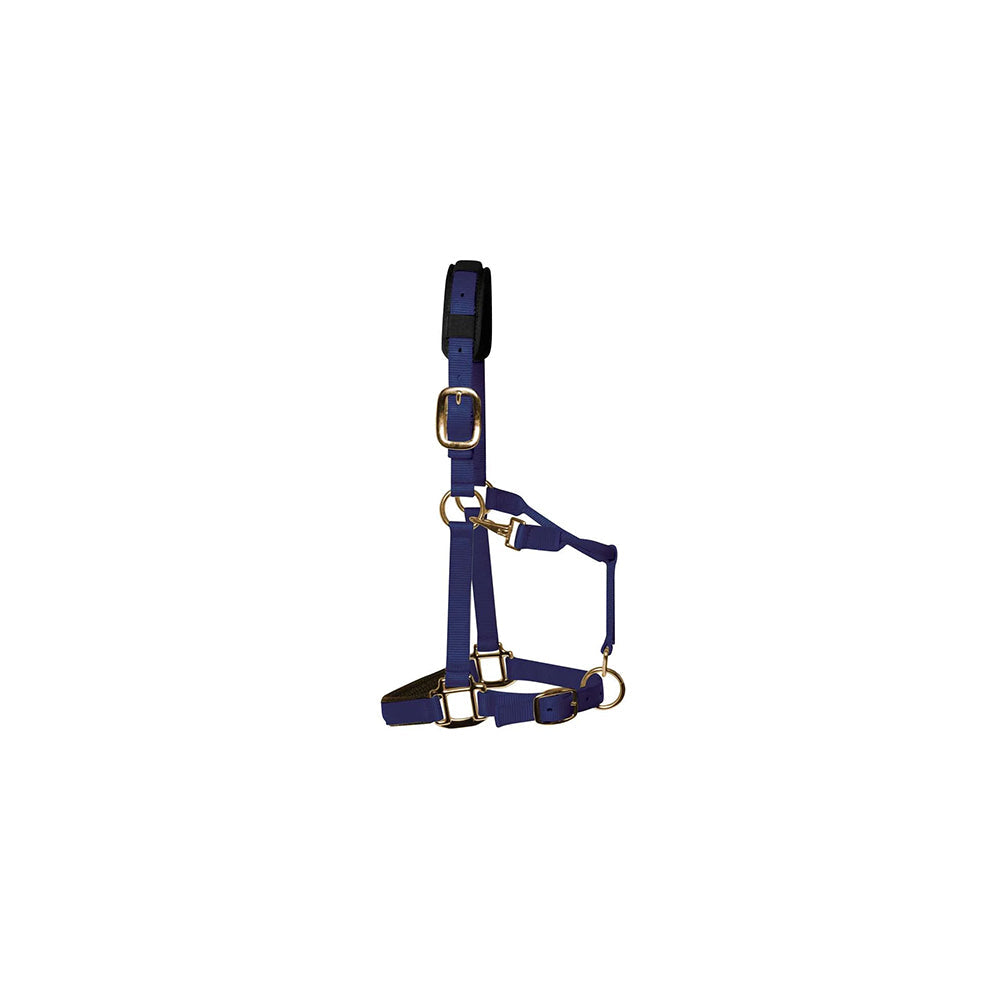 KM Elite Padded Headcollar Navy