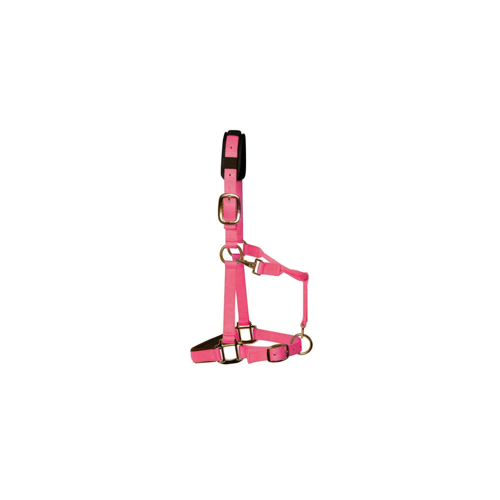 KM Elite Padded Headcollar Pink