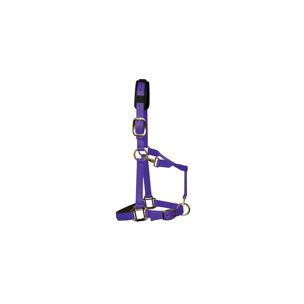 KM Elite Padded Headcollar Purple