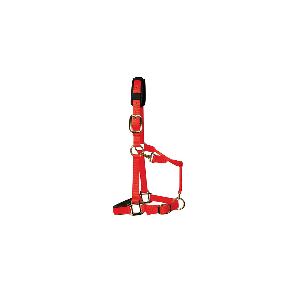KM Elite Padded Headcollar Red