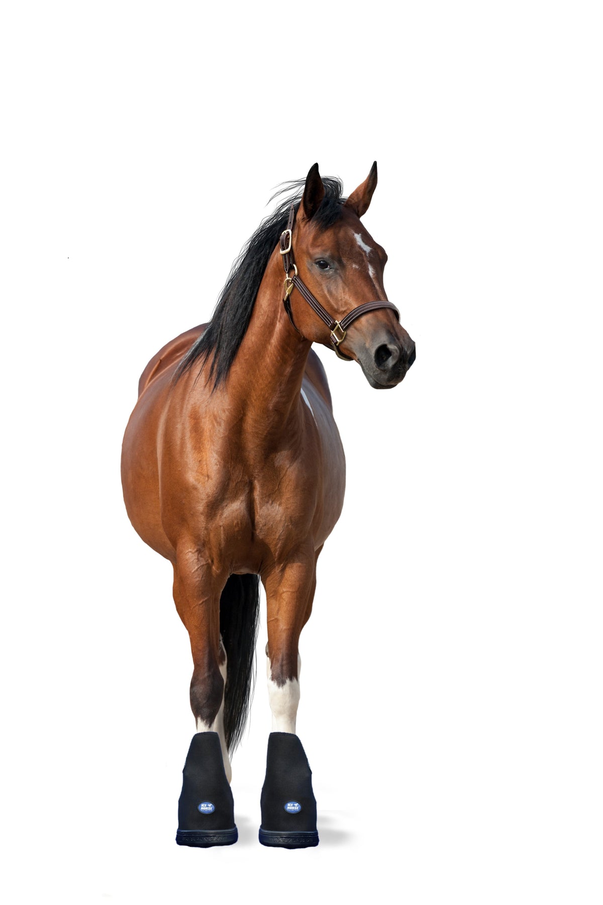 Laminitis Pro Boot