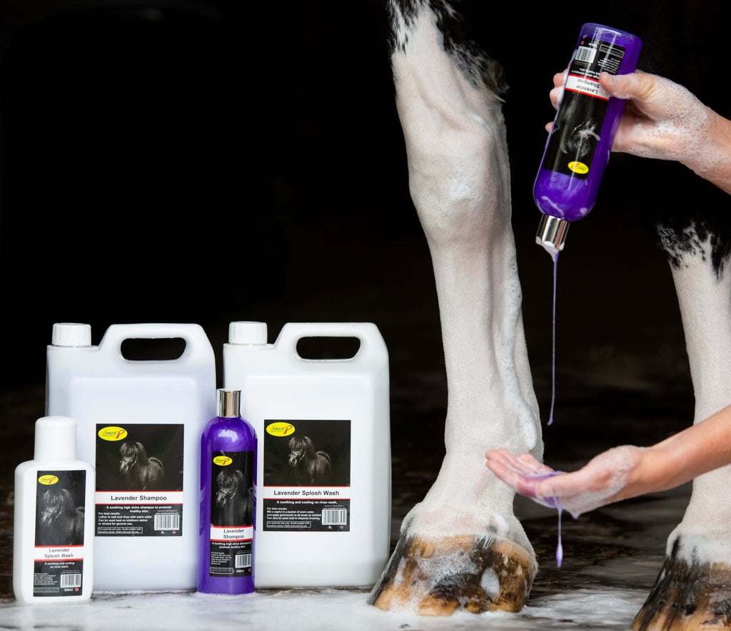 Sploshka Lavender Splosh Wash | Horse Shampoo – KM Elite Products
