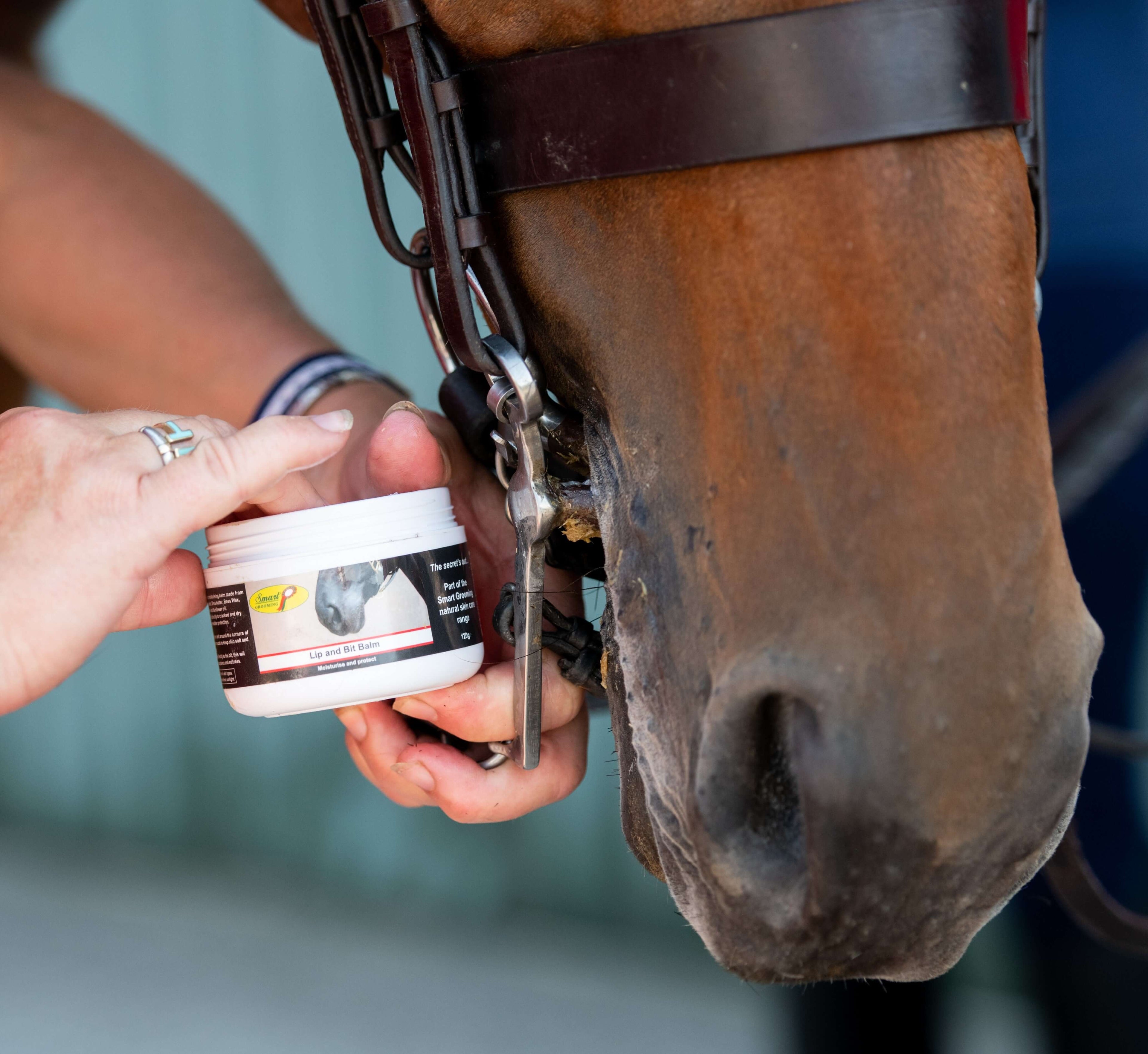 Lip and Bit Balm 120g