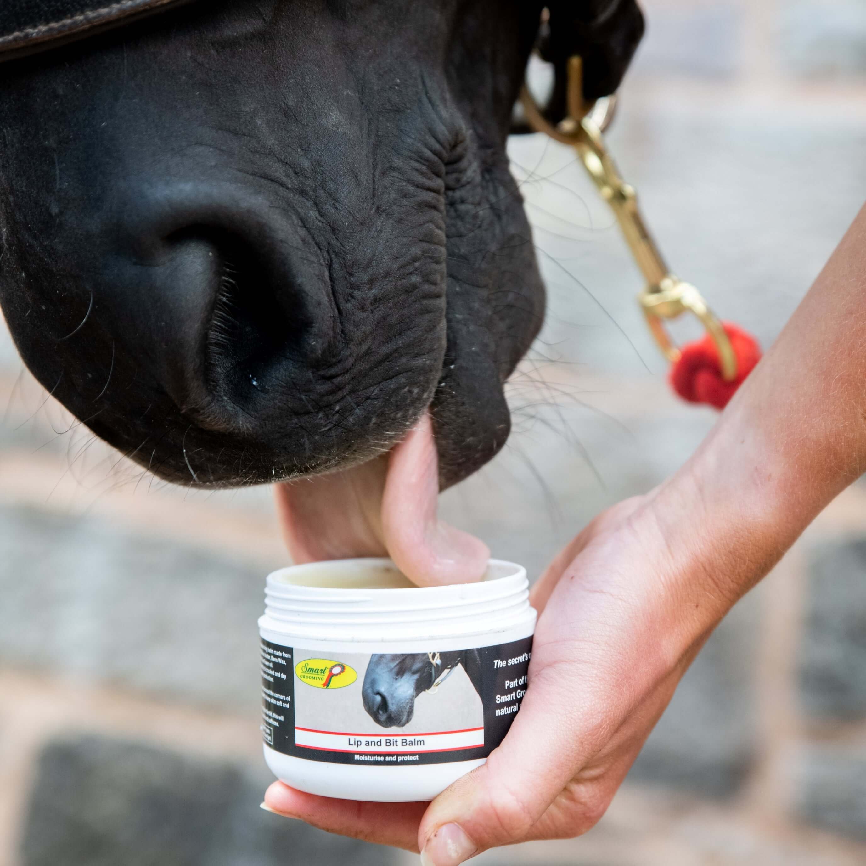 Lip and Bit Balm 120g