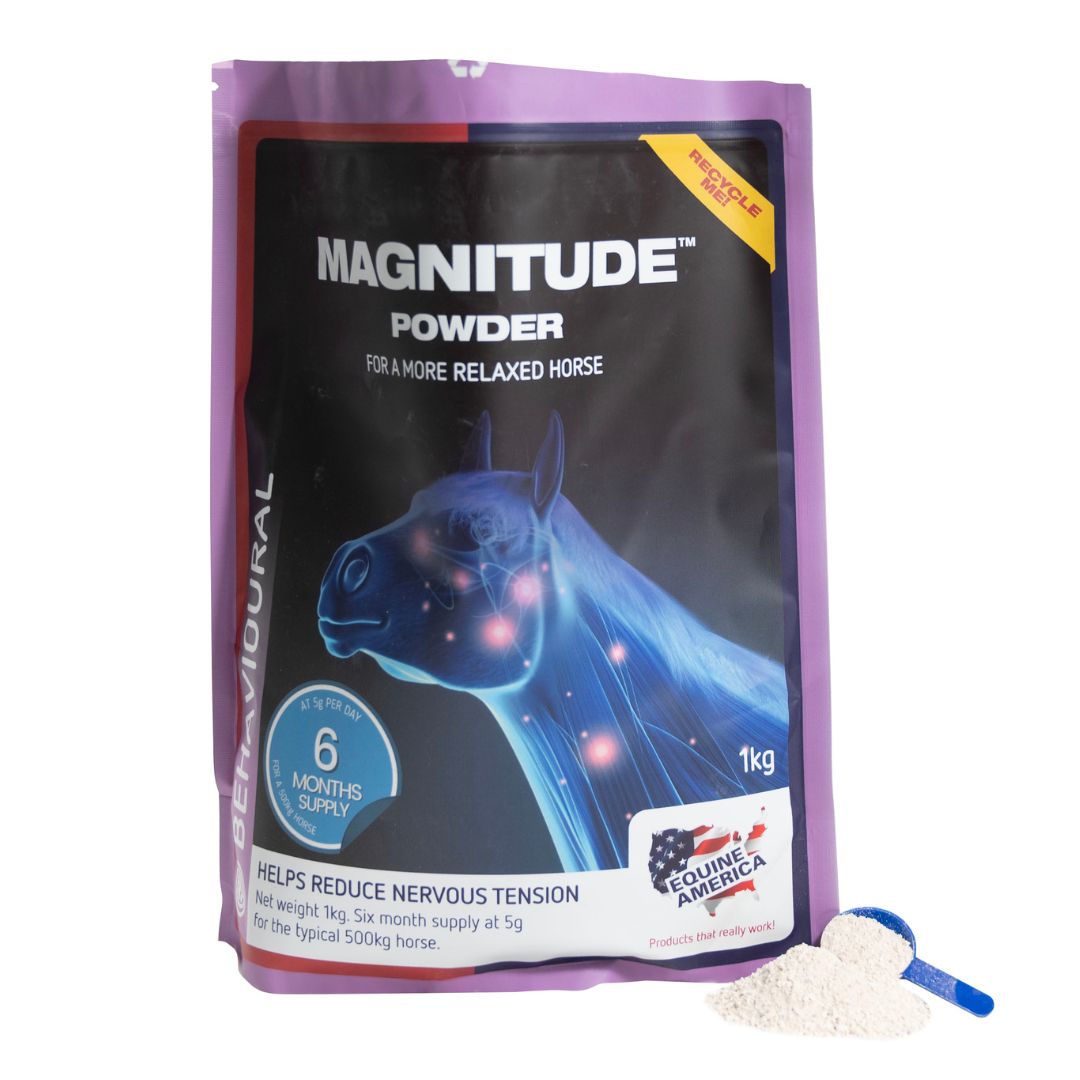 Magnitude