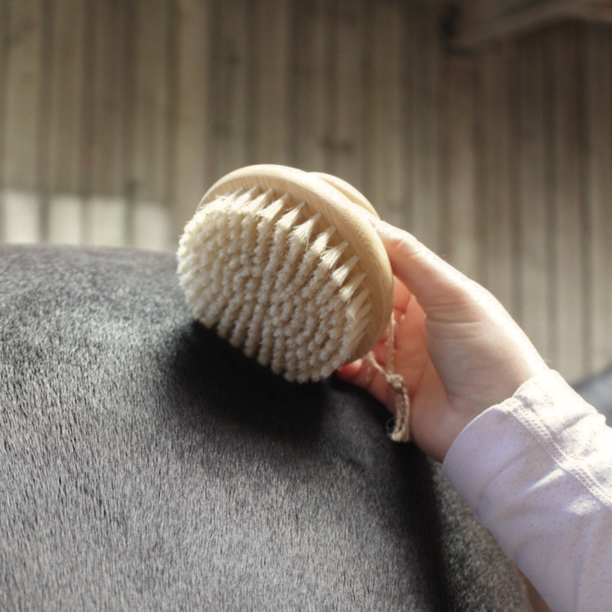 SG Natural Brush - Mixed Bristle Brush
