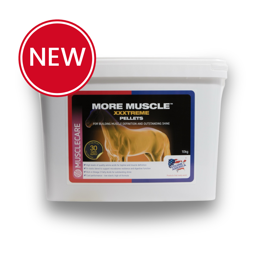 More Muscle Xxxtreme Pellets 10kg *Special Order*