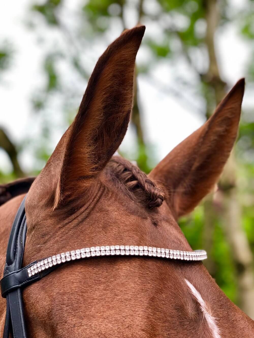 Forelock Plaiting Grippers