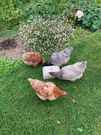 Pickblock Longlife 4 x 5kg