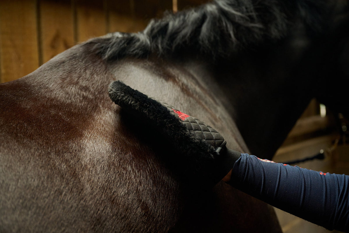 Quilted Grooming Mitt