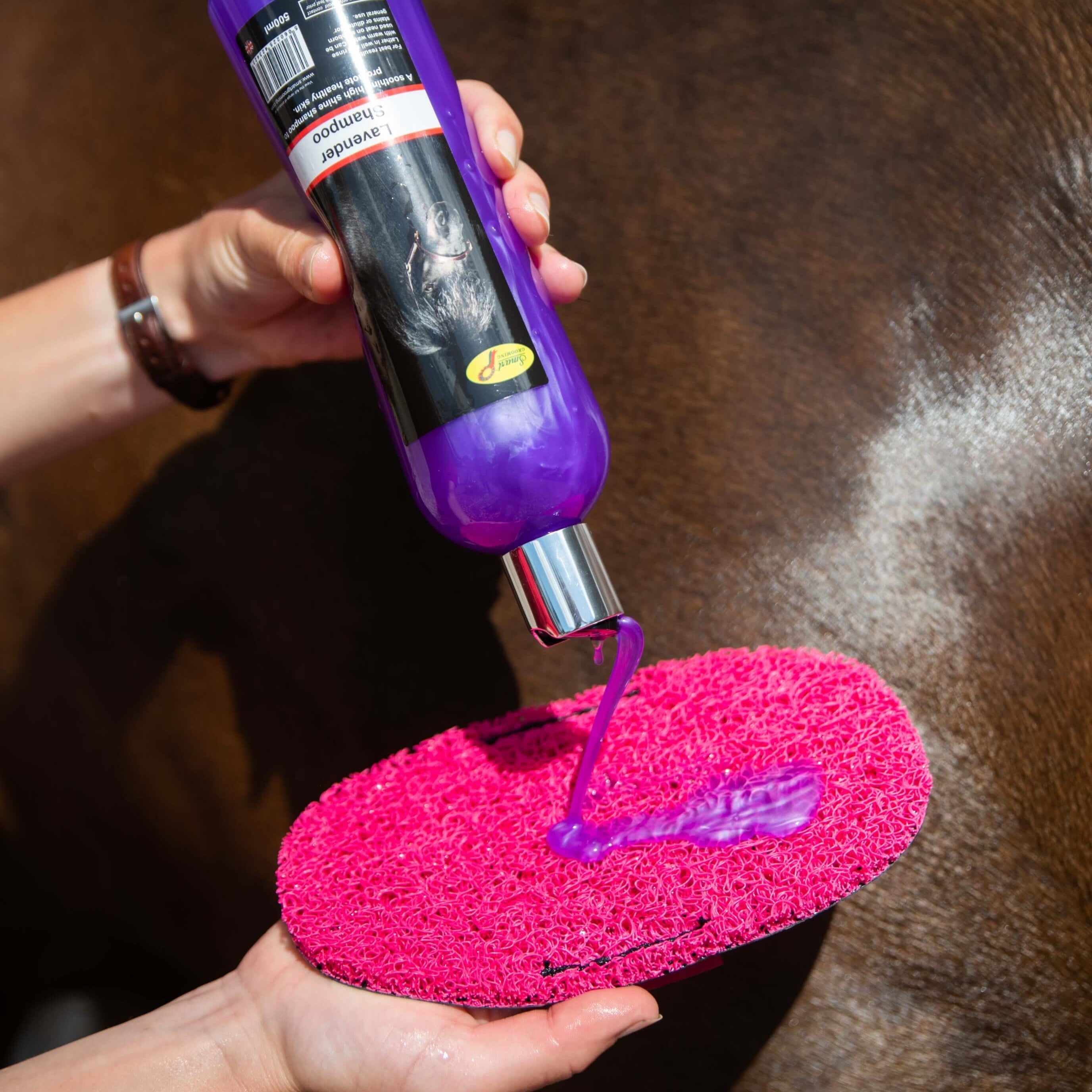 Super Groomer - Deluxe Edition