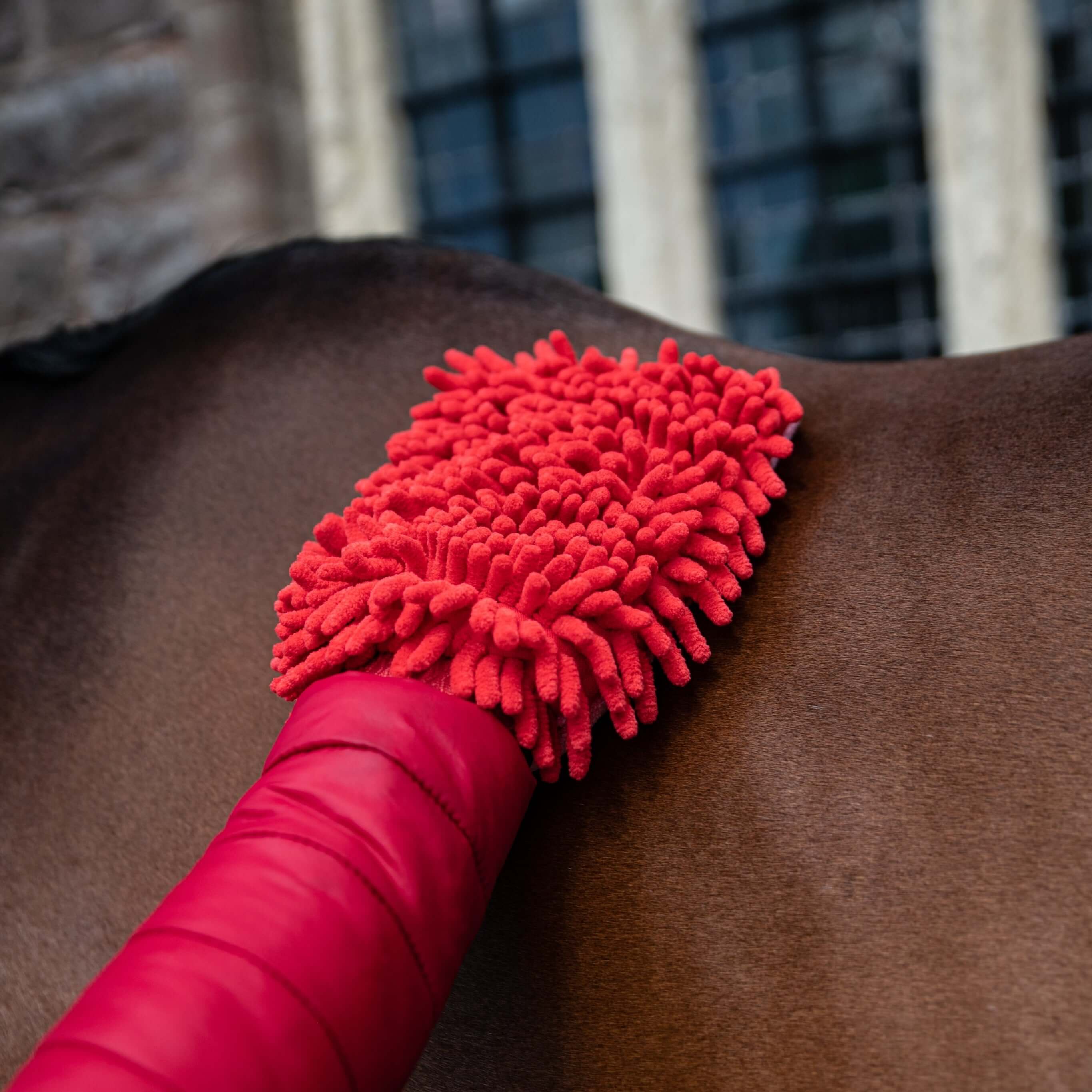 Microfibre Grooming Mitt