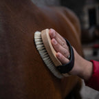 Traditional Body Brush