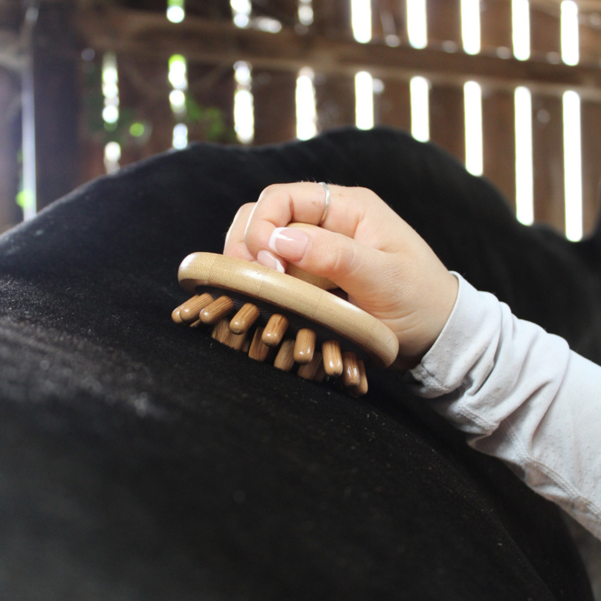 Smart Grooming Natural Brush - Massage Brush