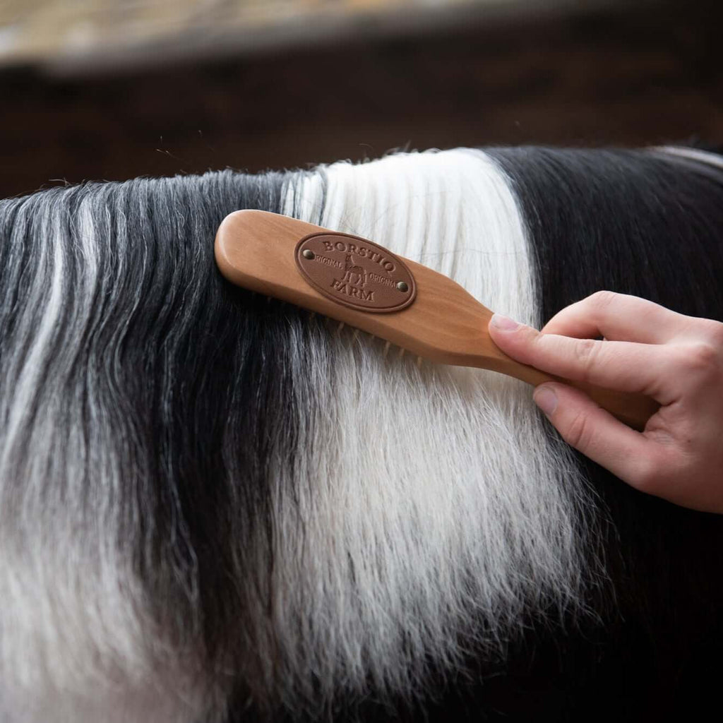 Borstiq Mane & Tail Brushes
