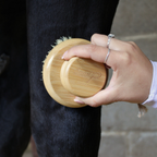 SG Natural Brush - Sisal Brush