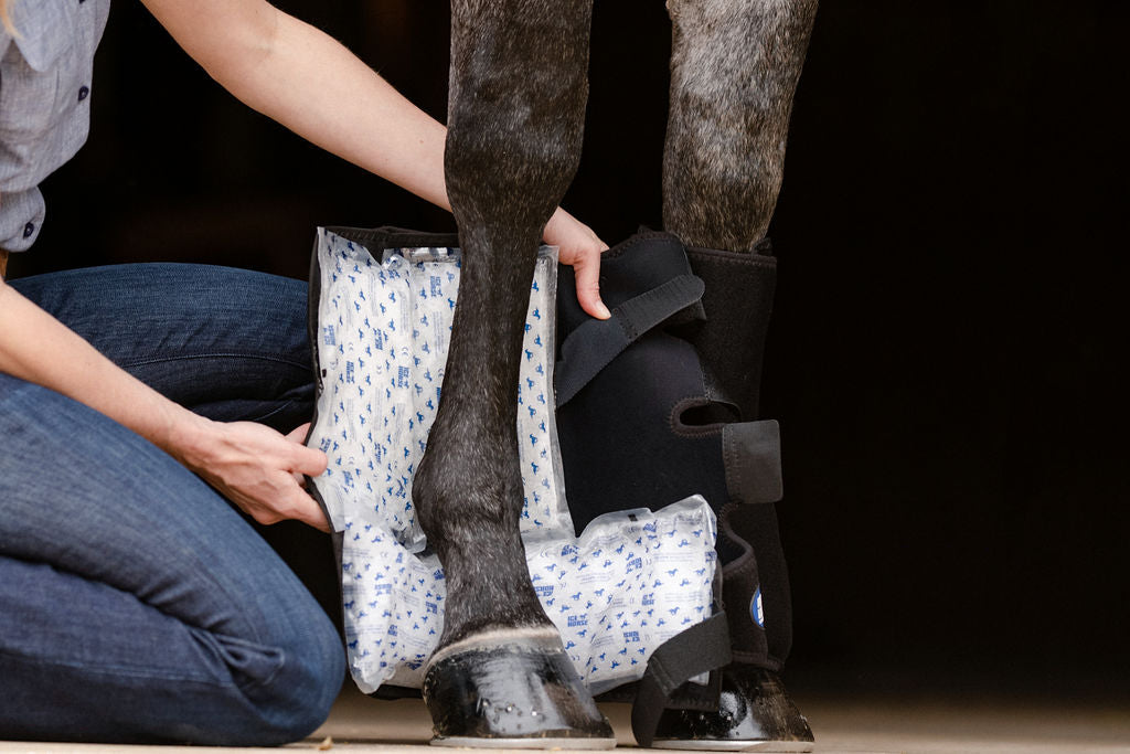 Suspensory Wraps* - Low Knee-to-Pastern Ankle (pony) Pair with 10 Cold Inserts