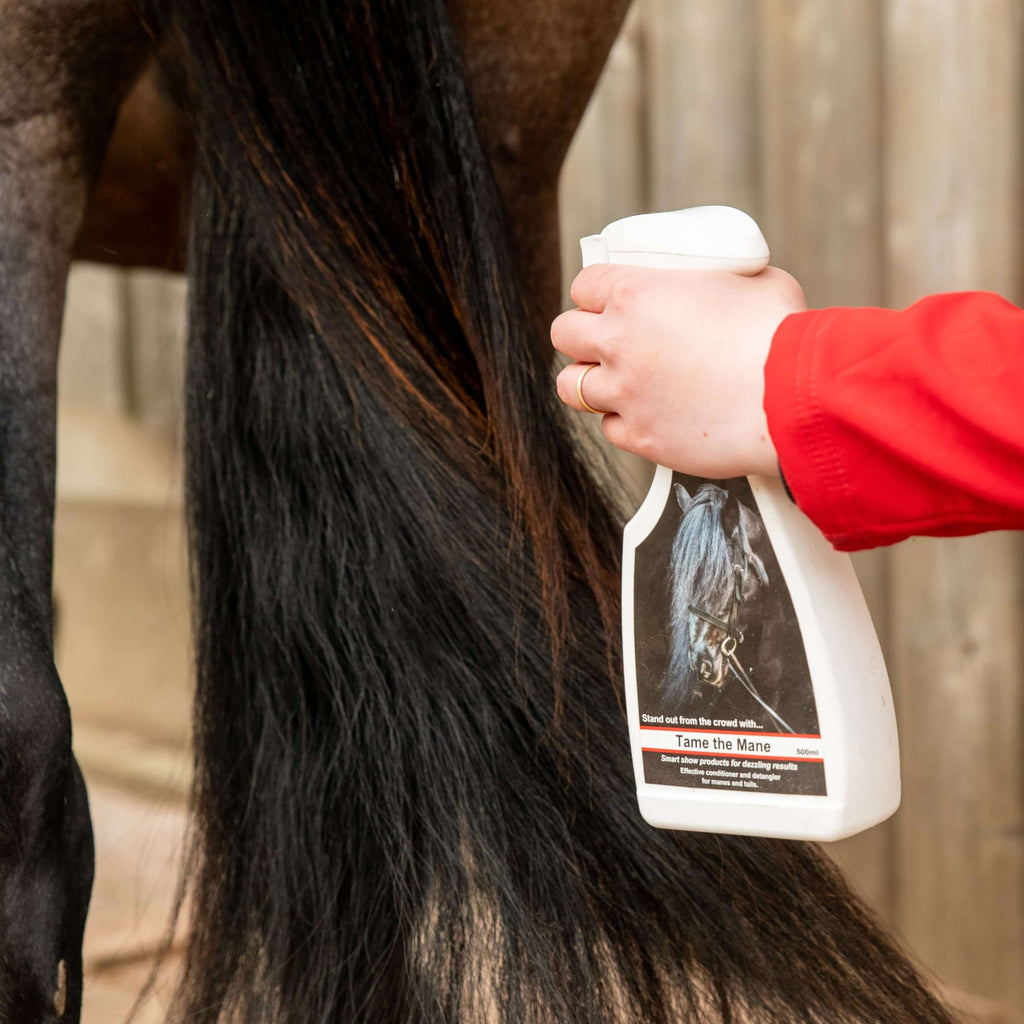 Tame the Mane 500ml