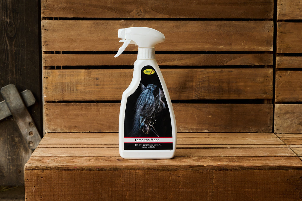 Tame the Mane 500ml