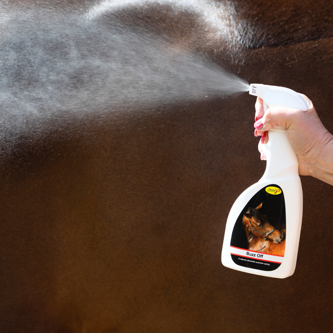 Buzz Off Summer Spray