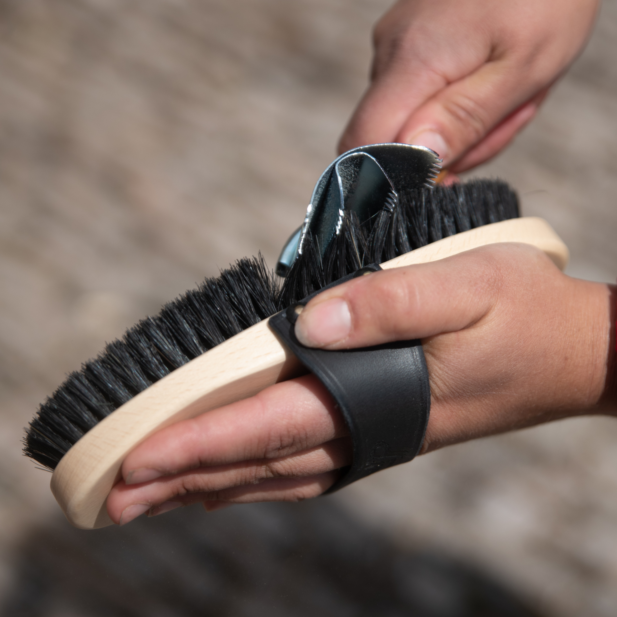 Metal Curry Comb