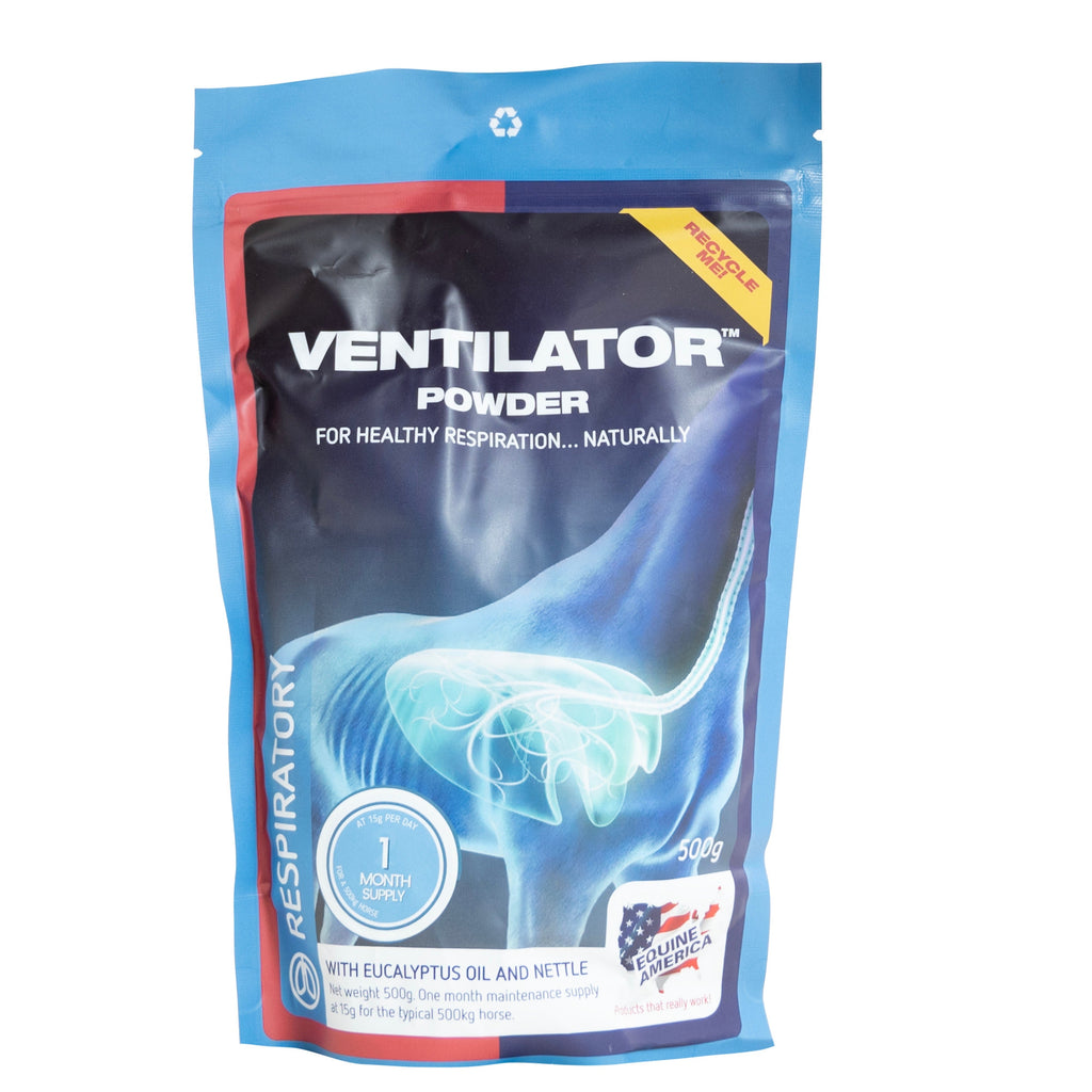 Ventilator 500g