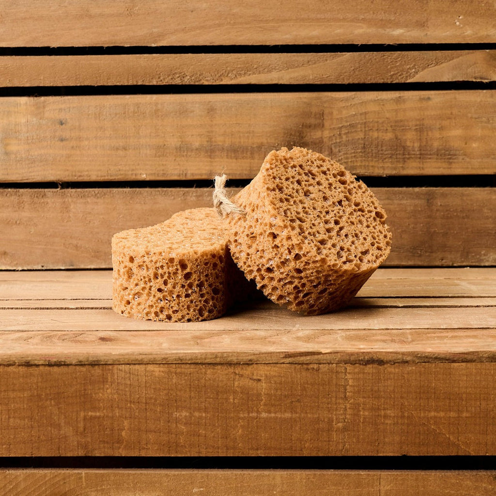 Borstiq Sponge