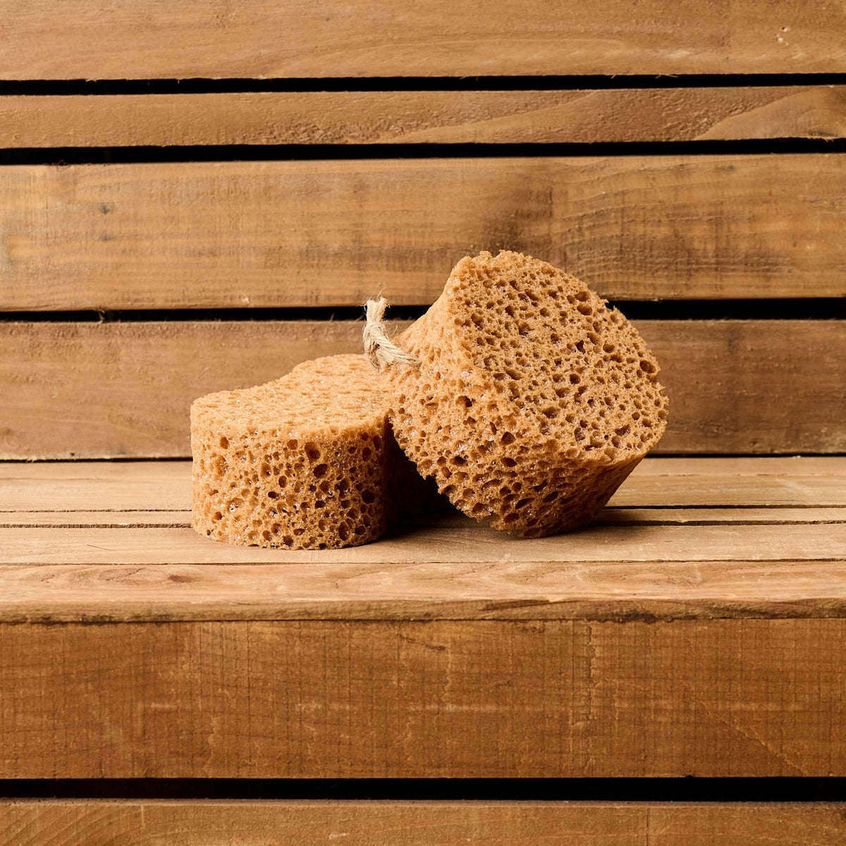 Borstiq Sponge