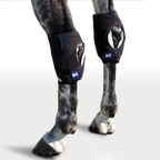 Hock Wrap - Pair with 6 Cold Inserts