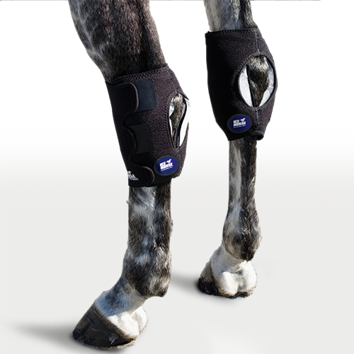 Hock Wrap - Pair with 6 Cold Inserts