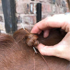Blunt Ended Plaiting Needles