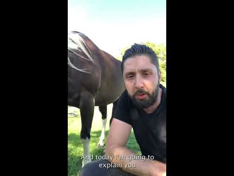 ThinLine Flexible Filly Grazing Muzzle
