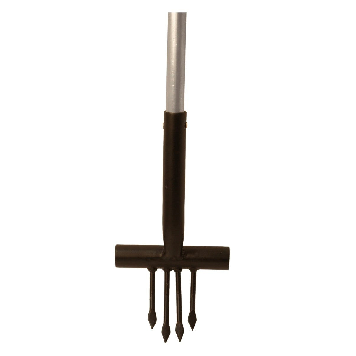 Ragwort Fork