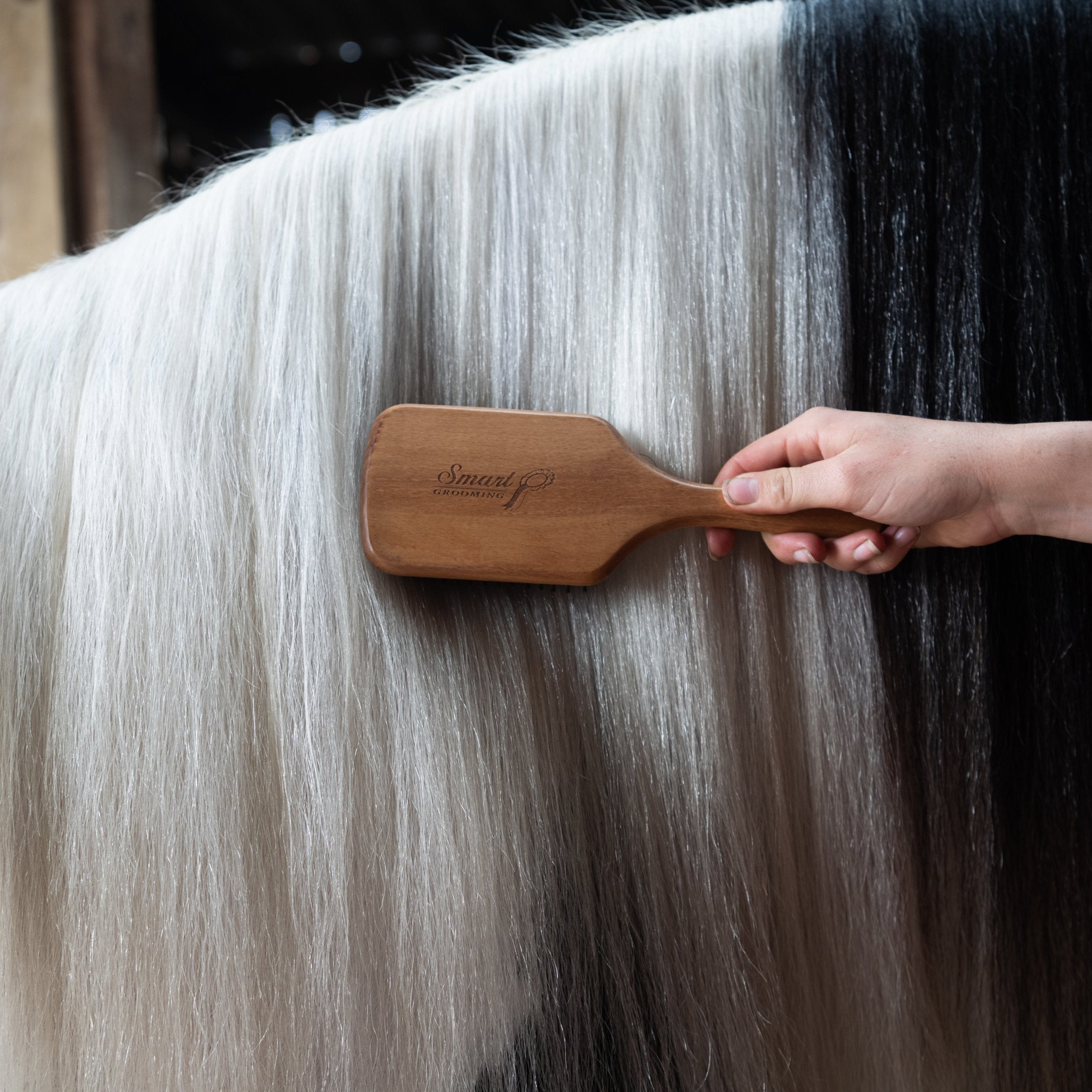 Mane & Tail Brush