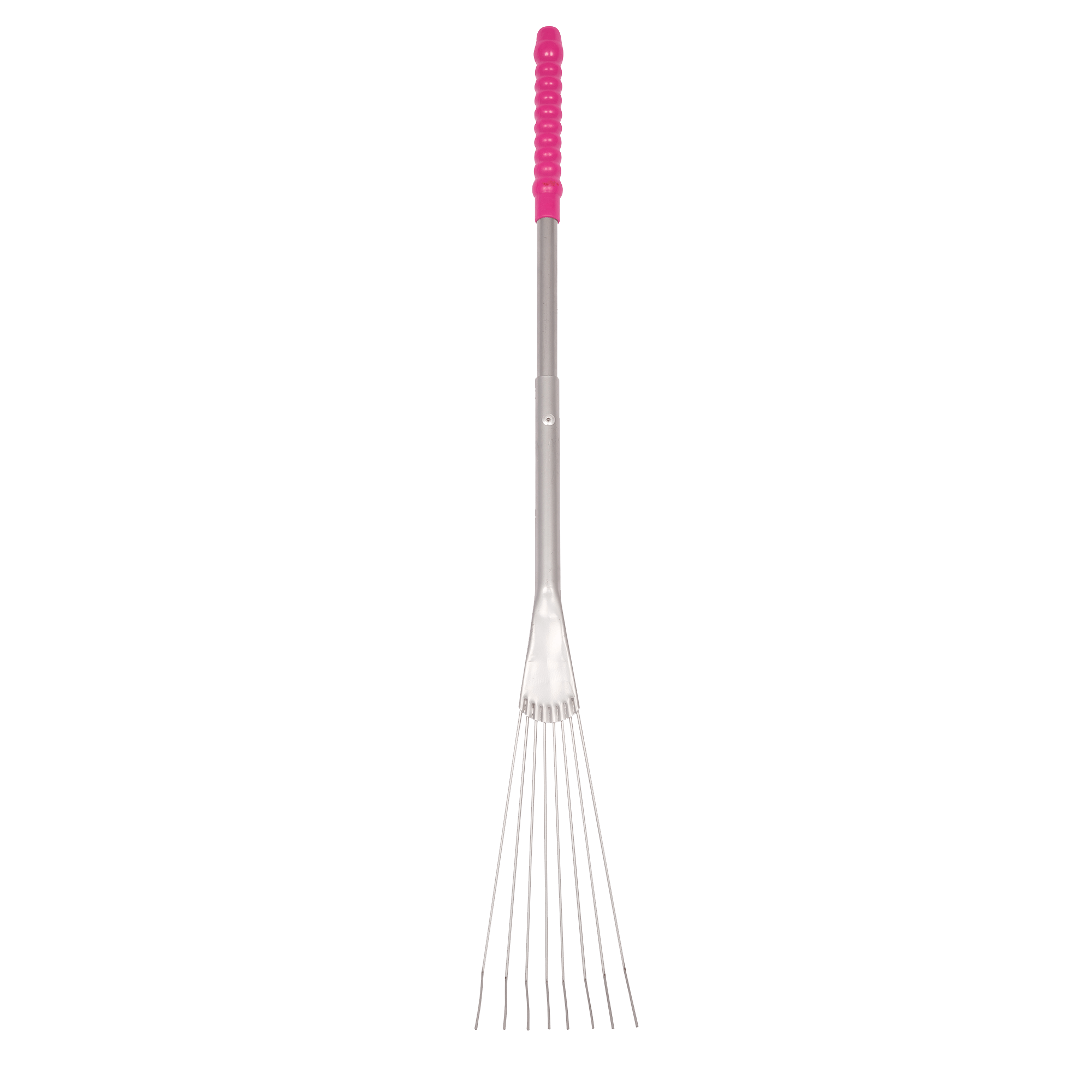 Tidee™ Metal Rake with Long Handle